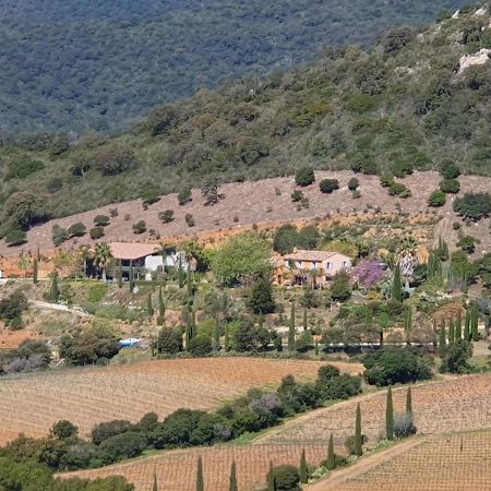 Bel Appart Style Vintage Vue Mer La Londe-les-Maures ภายนอก รูปภาพ