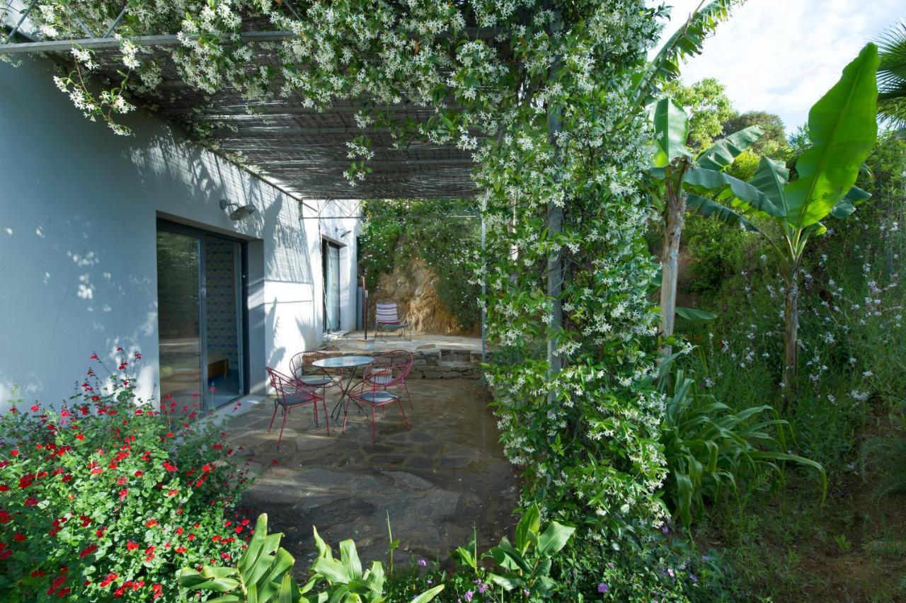 Bel Appart Style Vintage Vue Mer La Londe-les-Maures ภายนอก รูปภาพ